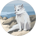 Priyanka profile picture