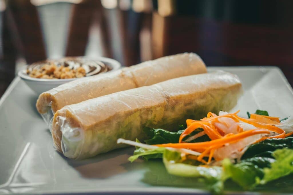 Close-up of Vietnamese spring rolls with fresh salad on a ceramic plate, ideal for food lovers.